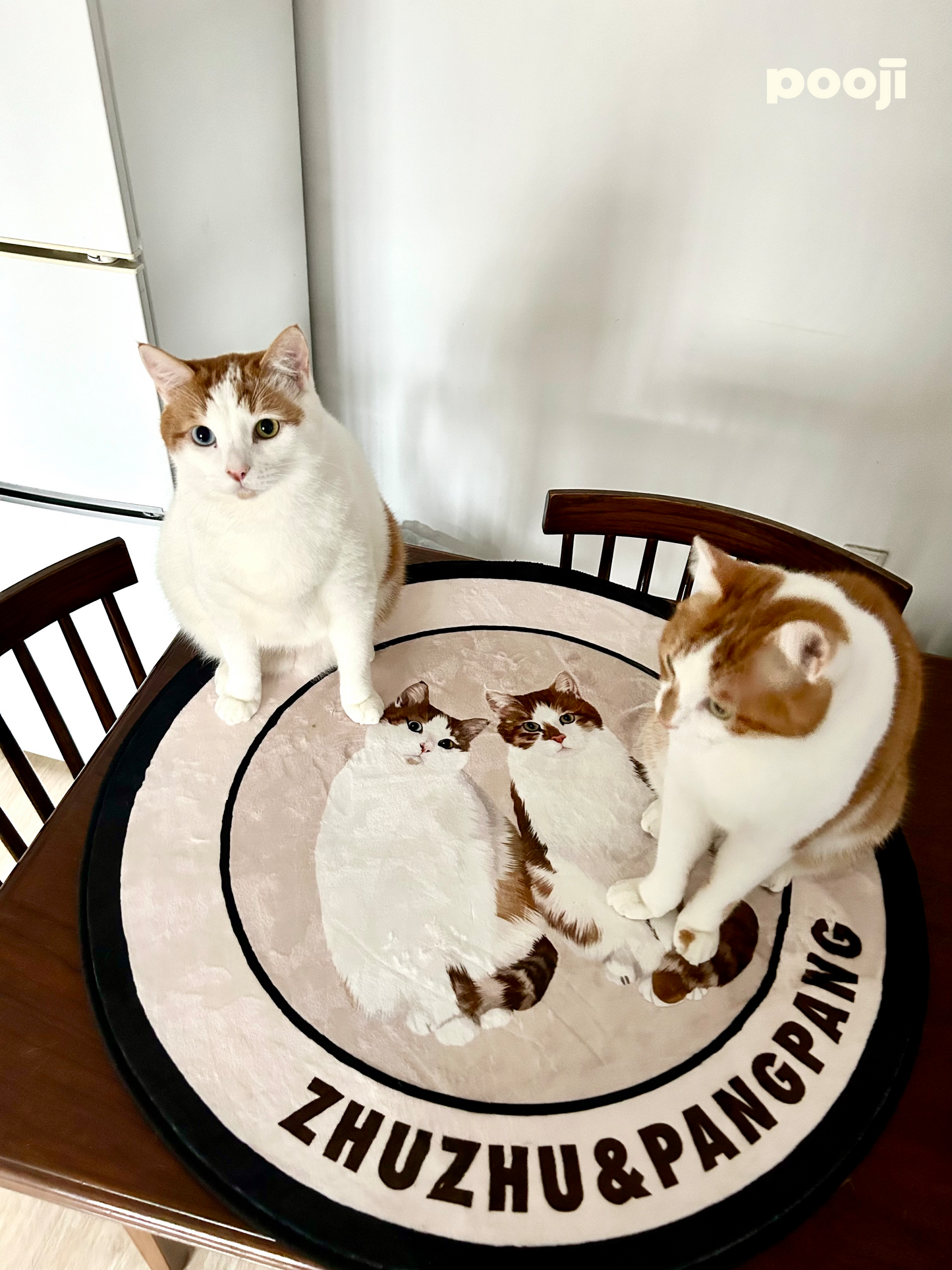Pooji - Custom Pet Portrait Rug - Round