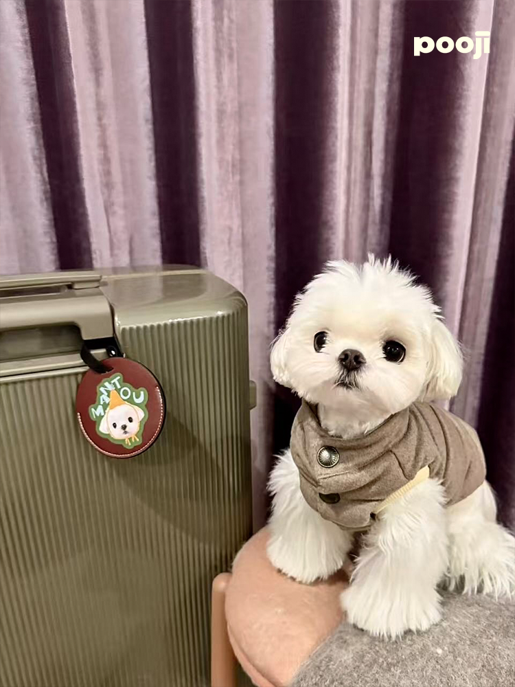 Pooji - Custom Pet Portrait Luggage Tag
