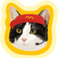 Pooji - Custom Pet Portrait Pillow