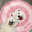 Pooji - Custom Pet Portrait Rug - Round