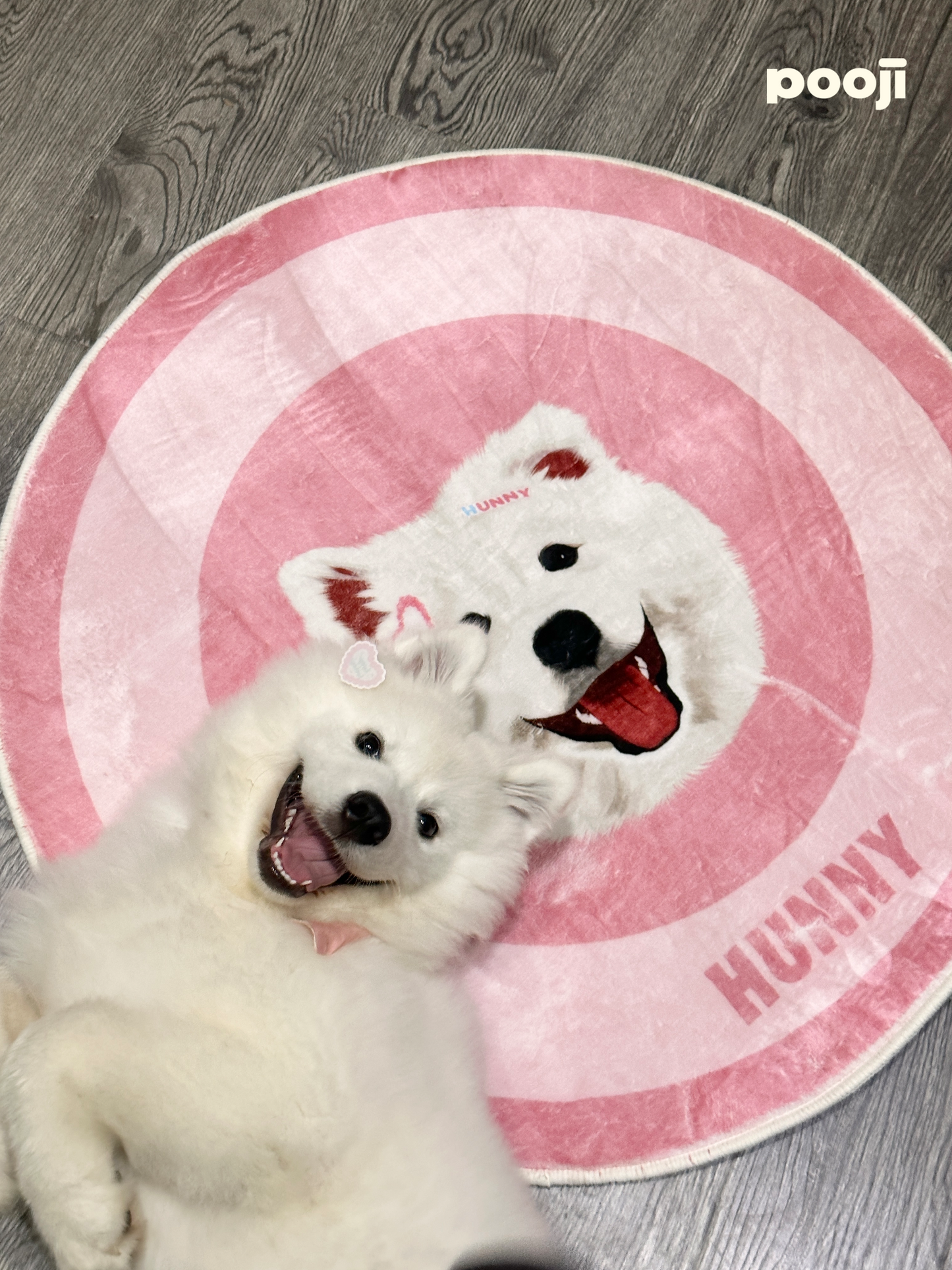 Pooji - Custom Pet Portrait Rug - Round