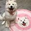Pooji - Custom Pet Portrait Rug - Round
