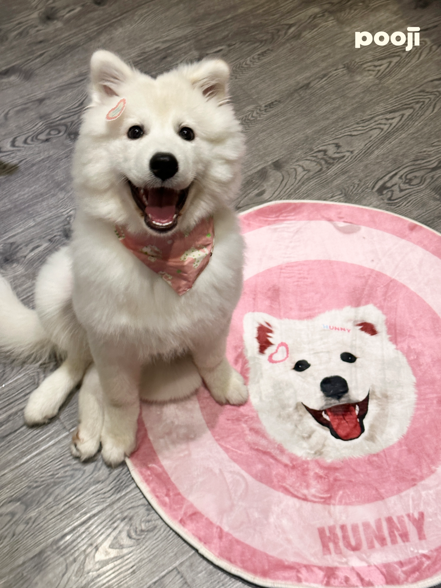 Pooji - Custom Pet Portrait Rug - Round