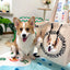 Customized Nylon Pet Tote Bag
