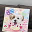 Pooji - Custom Pet Framed Giclee Art - Square