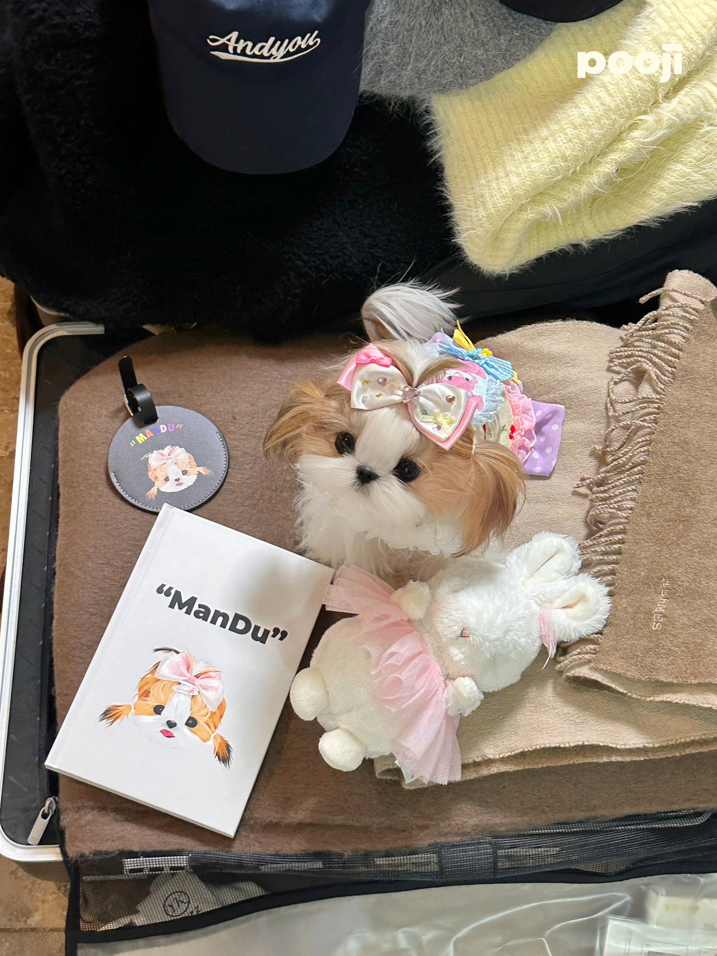 Pooji - Custom Pet Portrait Luggage Tag