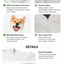 Pooji - Short Sleeve 100% Cotton Pet T-shirt