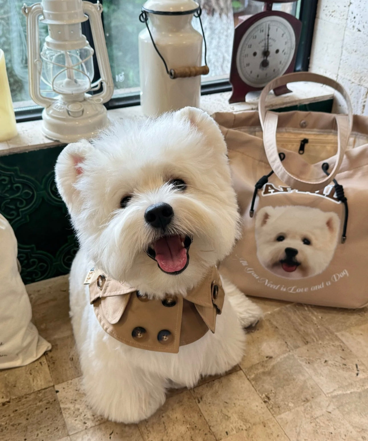 Customized Nylon Pet Tote Bag