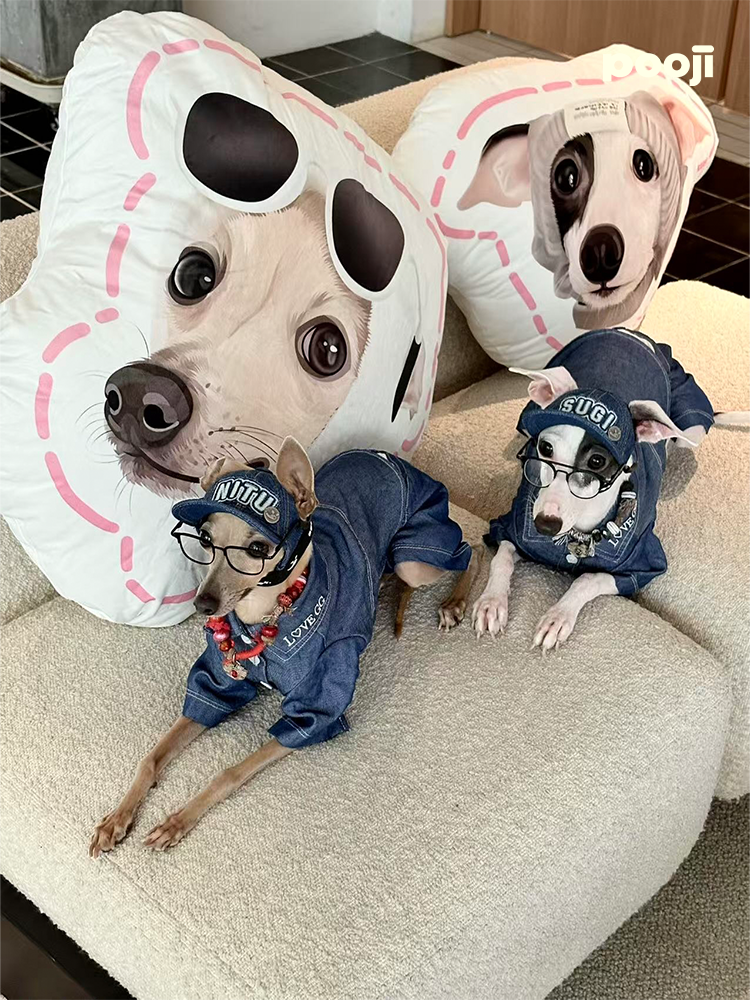 Pooji - Custom Pet Portrait Pillow