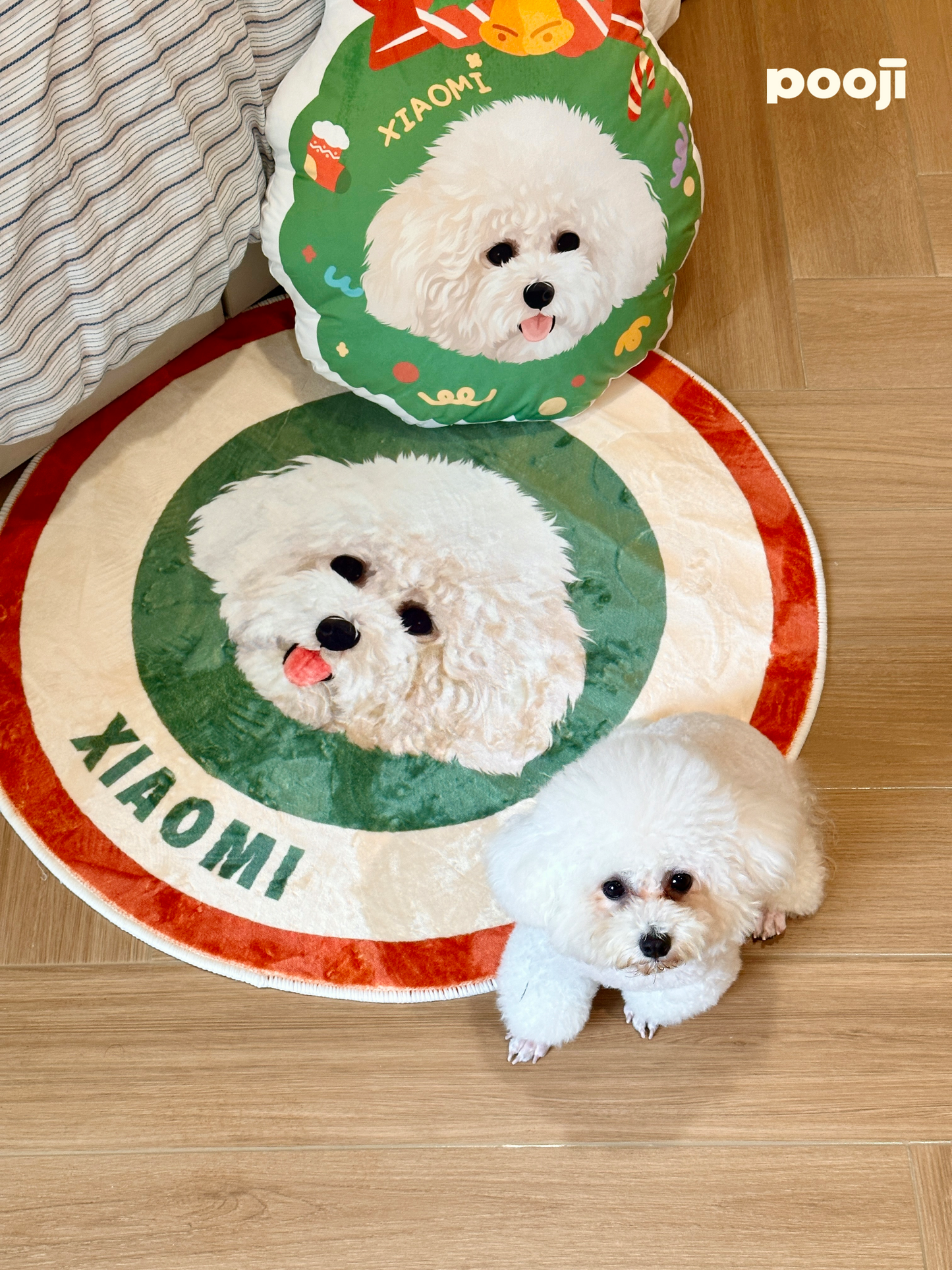 Pooji - Custom Pet Portrait Rug - Round