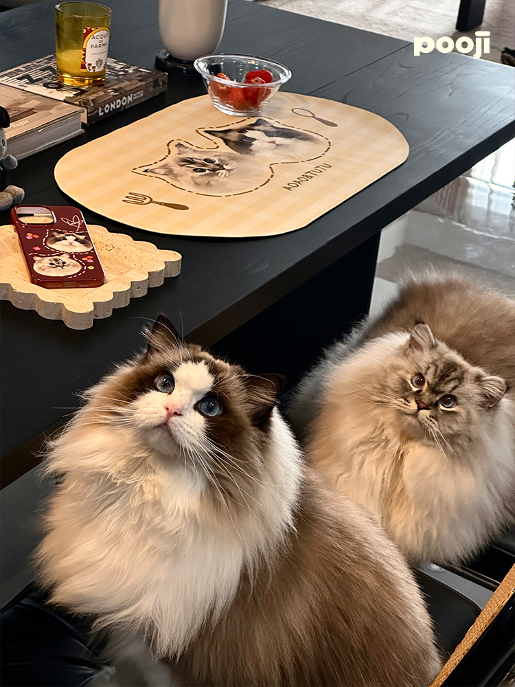 Pooji - Custom Pet Placemat Table Mat
