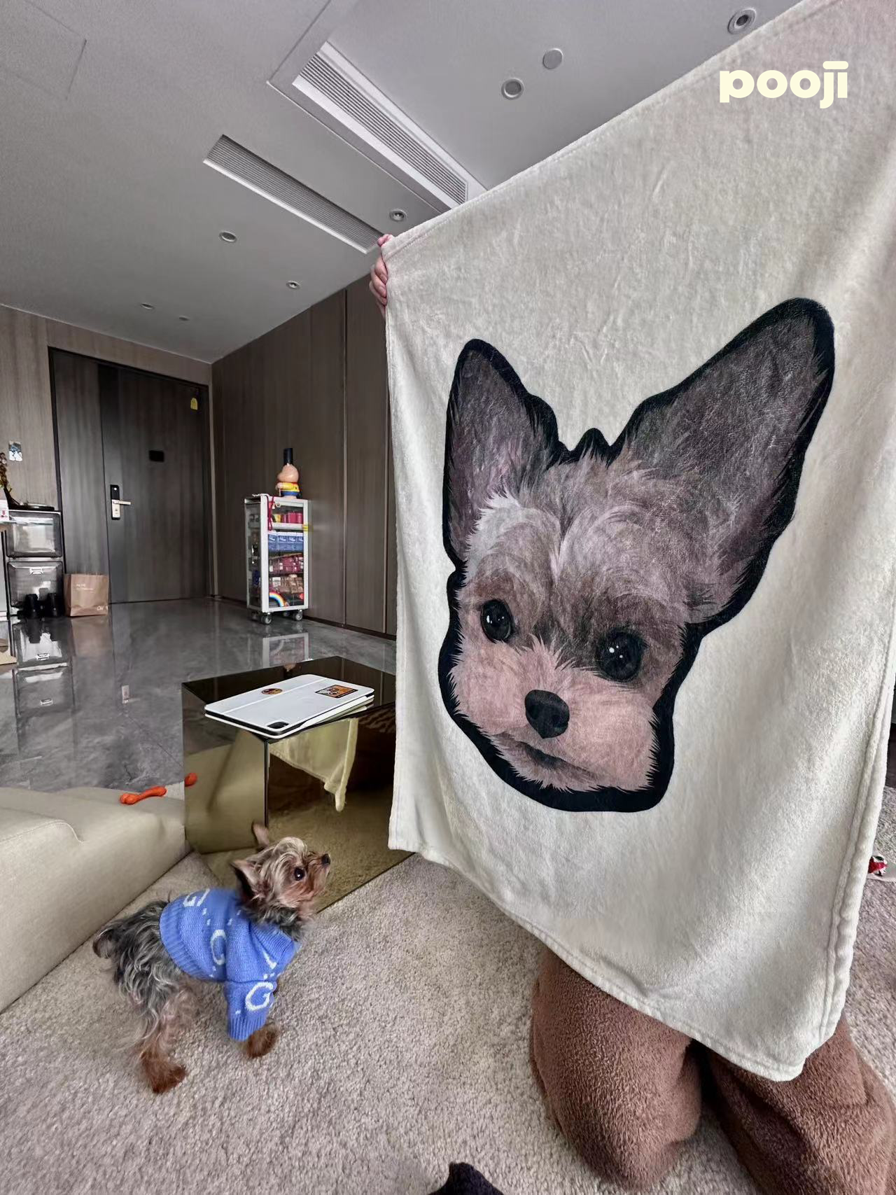 Pooji - Custom Pet Printed Blanket