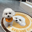 Pooji - Custom Pet Portrait Rug - Round