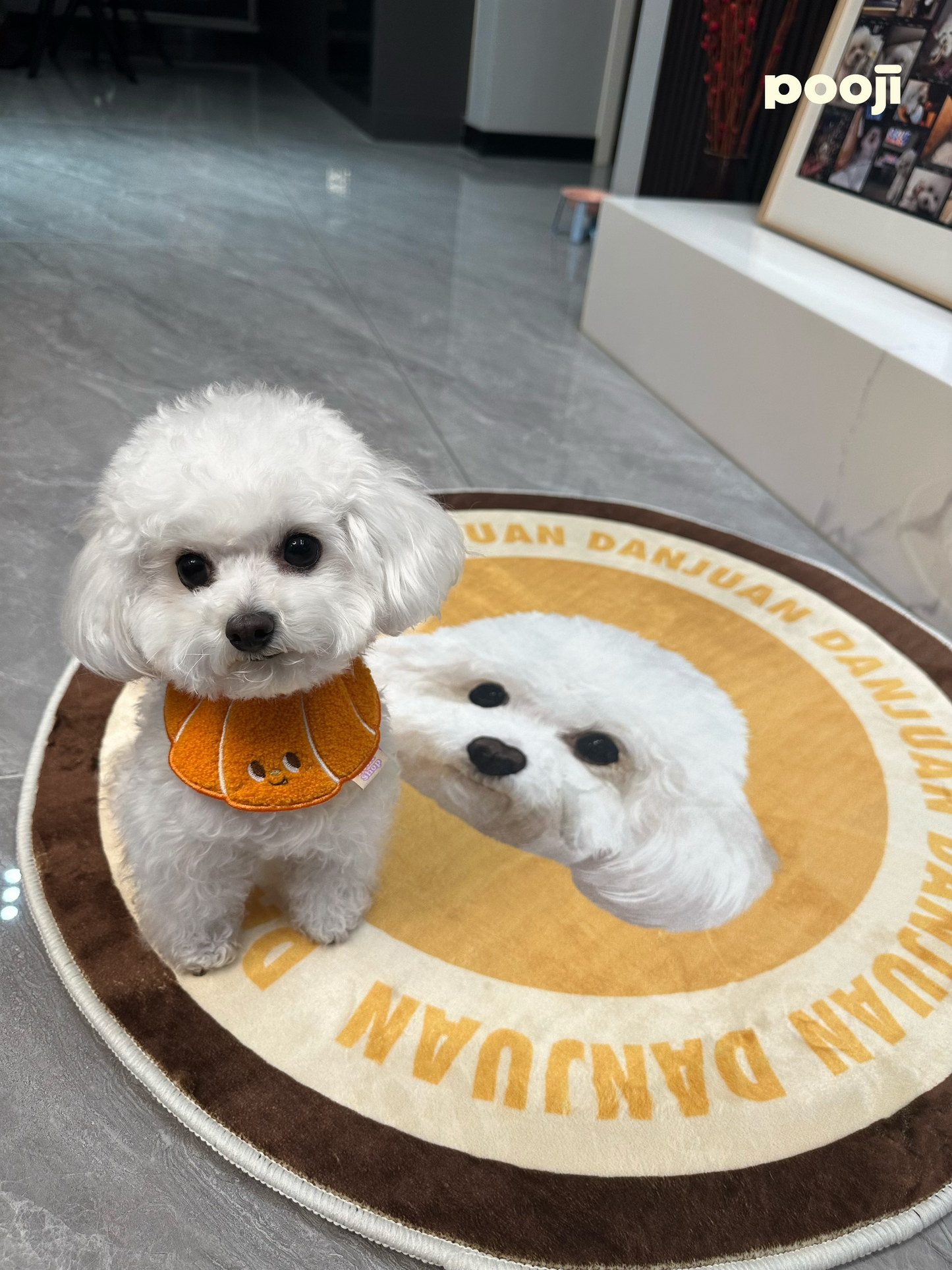 Pooji - Custom Pet Portrait Rug - Round
