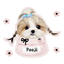 Pooji - Custom Pet Car Deca