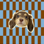 Pooji - Custom Pet Printed Blanket