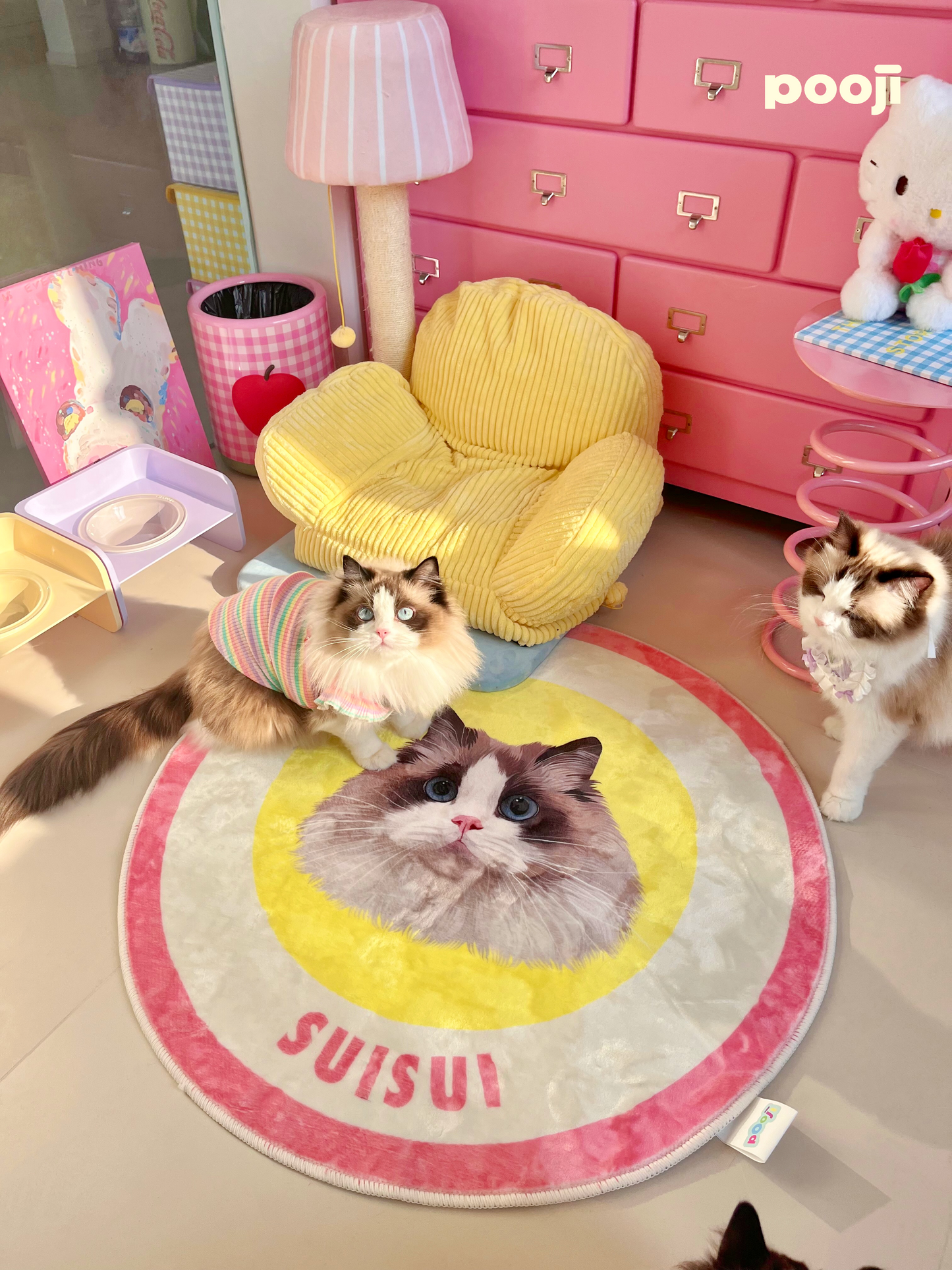 Pooji - Custom Pet Portrait Rug - Round