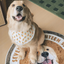 Pooji - Custom Pet Portrait Rug - Round