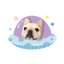 Pooji - Custom Pet Car Deca