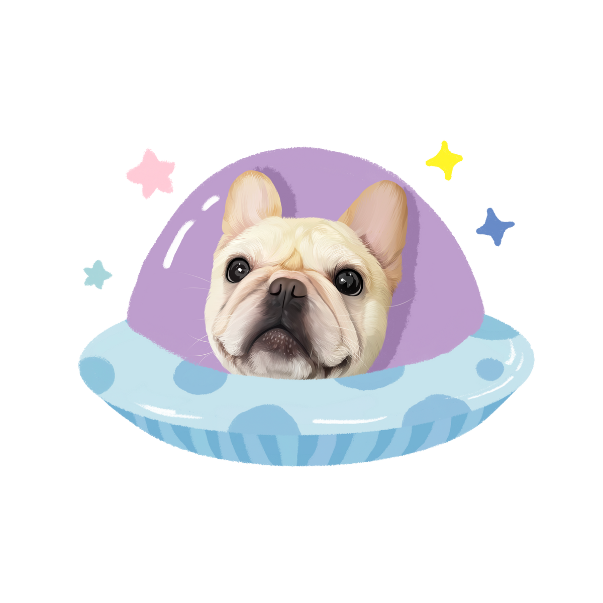 Pooji - Custom Pet Car Deca