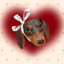 Pooji - Custom Pet Desk Mat Mouse Mat