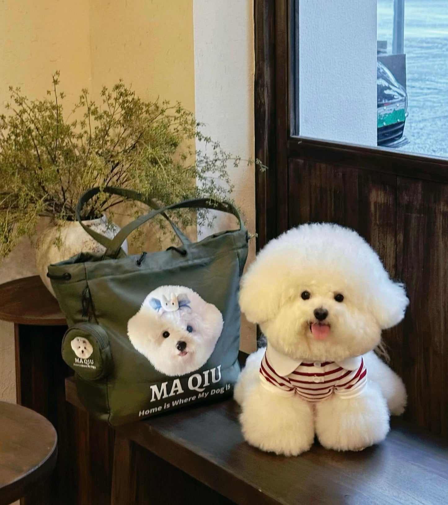 Customized Nylon Pet Tote Bag
