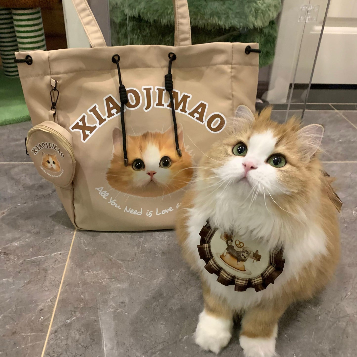 Customized Nylon Pet Tote Bag