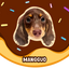 Pooji - Custom Pet Placemat Table Mat