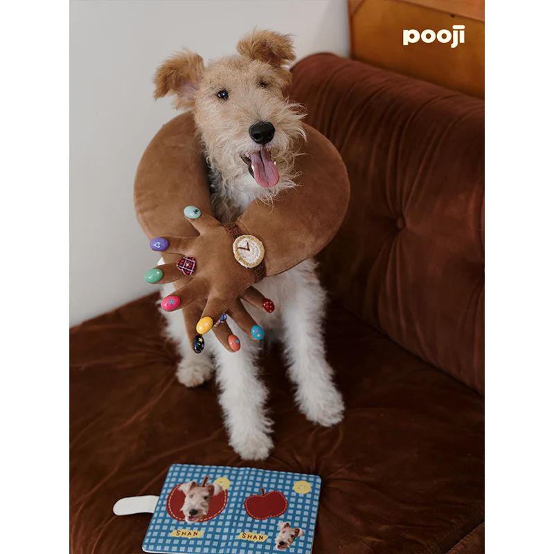 Pooji - Custom Pet Passport Holder