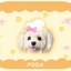 Pooji - Custom Pet Placemat Table Mat
