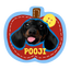 Pooji - Custom Pet Car Deca