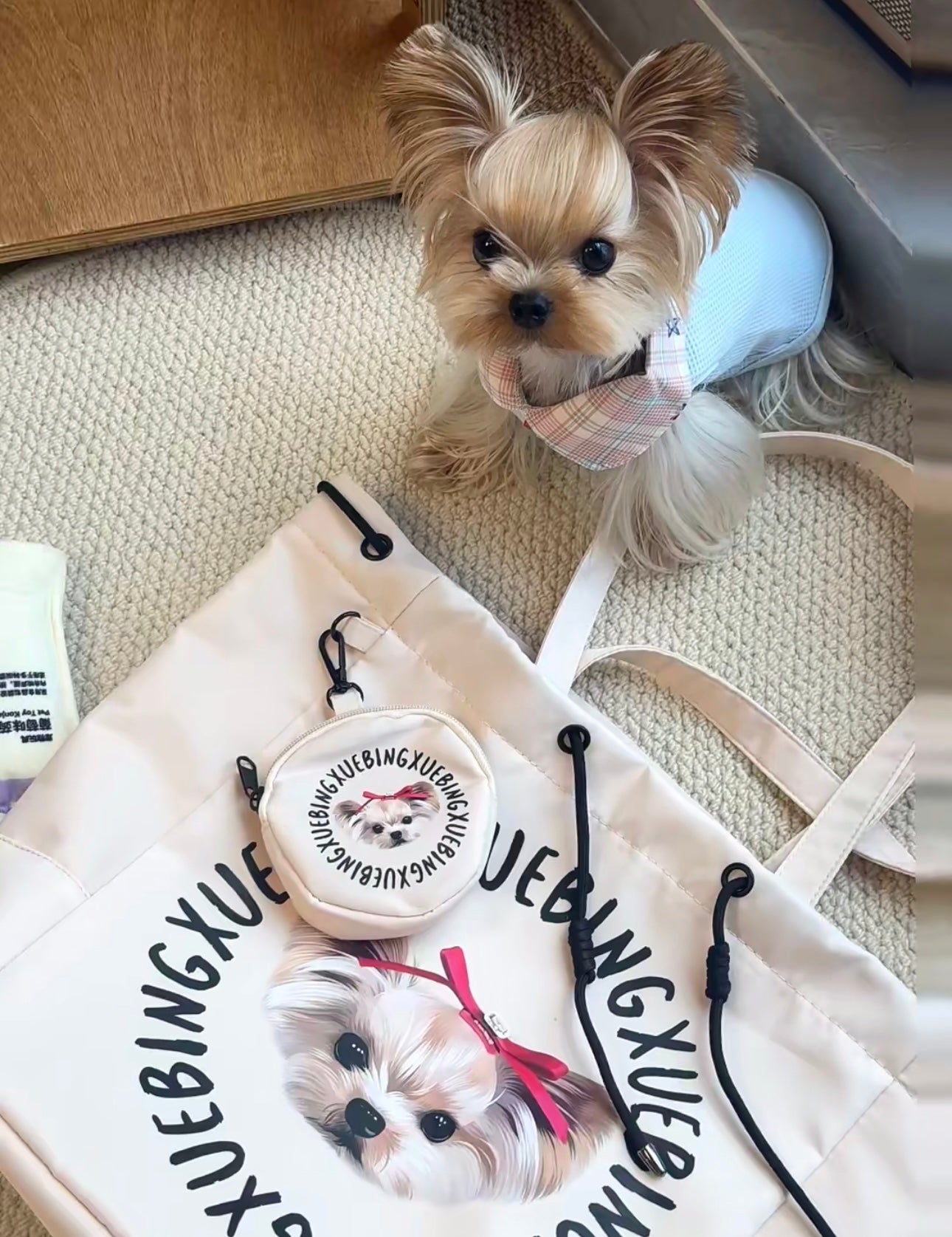 Customized Nylon Pet Tote Bag