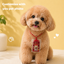 Customized Pet Photo Omamori Blessing Chain