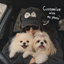 Customized Pet Portrait Embroidery Cap