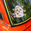 Pooji - Custom Pet Car Deca