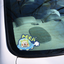 Pooji - Custom Pet Car Deca