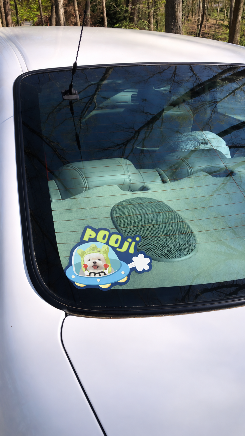 Pooji - Custom Pet Car Deca