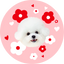 Pooji - Custom Pet Portrait Rug - Round