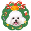 Pooji - Custom Pet Portrait Pillow