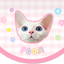 Pooji - Custom Pet Placemat Table Mat