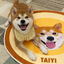 Pooji - Custom Pet Portrait Rug - Round