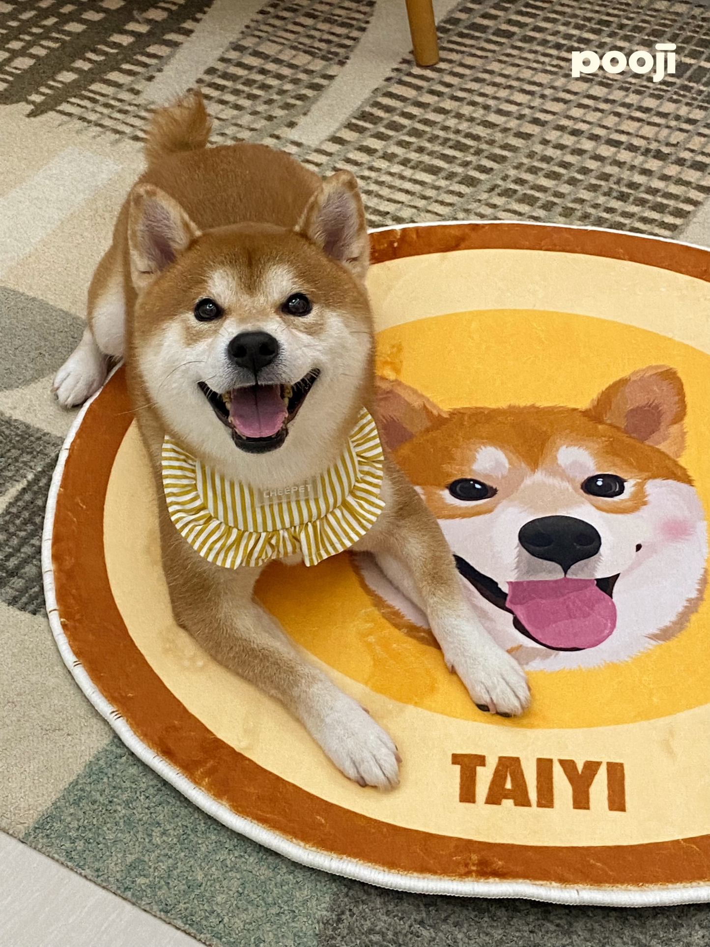 Pooji - Custom Pet Portrait Rug - Round