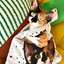 Pooji - Customize Pet Wrist Bag Handbag