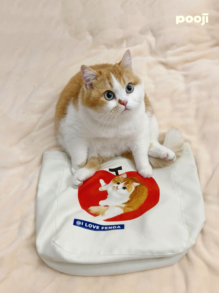 Pooji - Custom Pet Portrait Canvas Tote