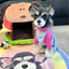 Pooji - Custom Pet Portrait Rug - Round