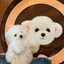 Pooji - Custom Pet Portrait Rug - Round