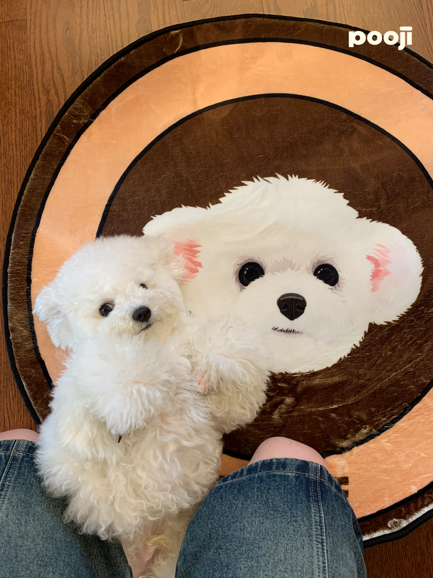 Pooji - Custom Pet Portrait Rug - Round