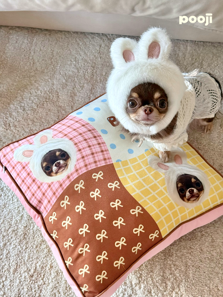 Pooji - Custom Pet Cushion Home Decor