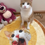 Pooji - Custom Pet Portrait Rug - Round