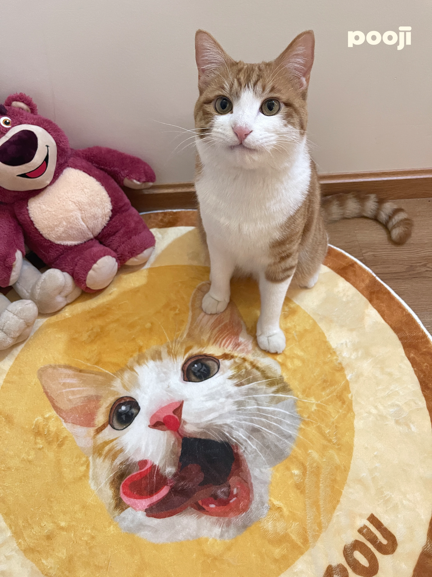 Pooji - Custom Pet Portrait Rug - Round